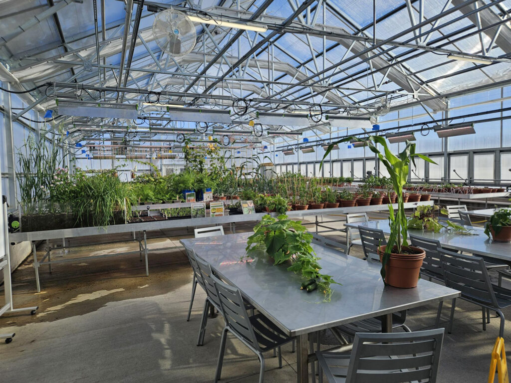 Inside of the Greenhouse Area at the F&F Exploration Center