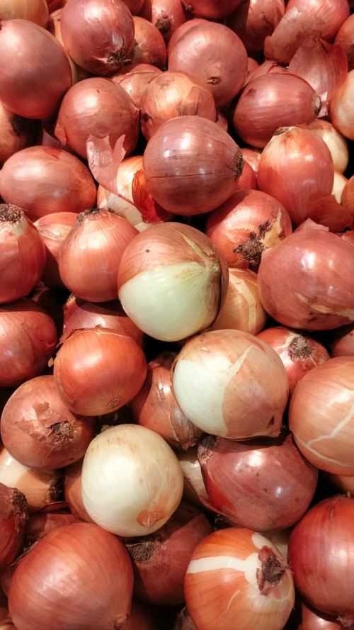 a ton of onions
